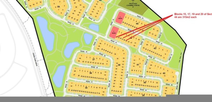 Hamden House Design – Throsby